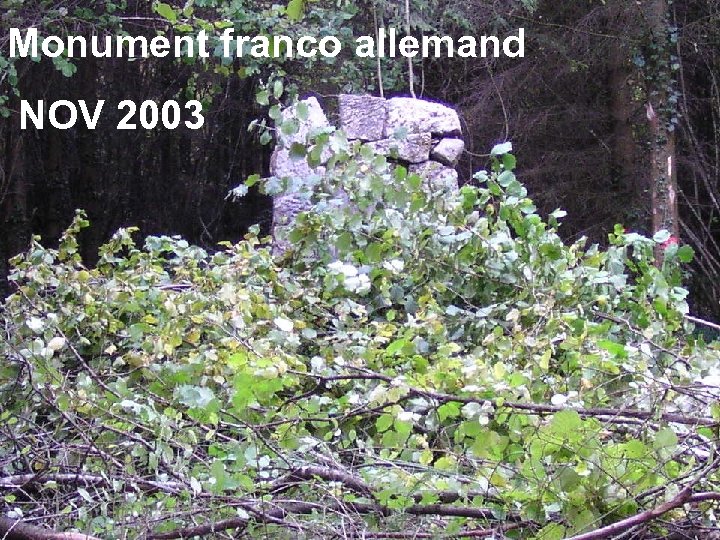 Monument franco allemand NOV 2003 
