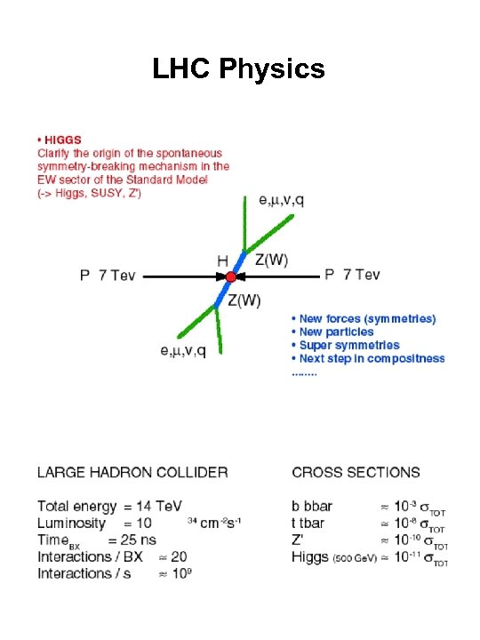 LHC Physics 