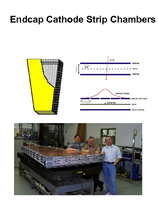 Endcap Cathode Strip Chambers 