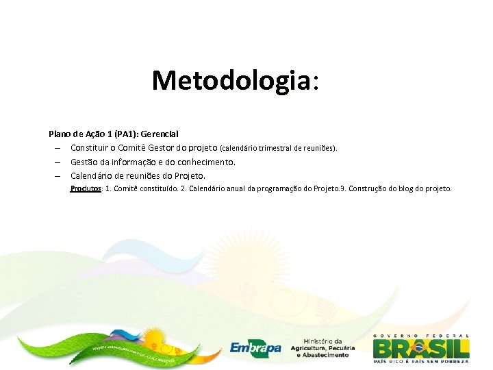 Metodologia: Metodologia Plano de Ação 1 (PA 1): Gerencial – Constituir o Comitê Gestor