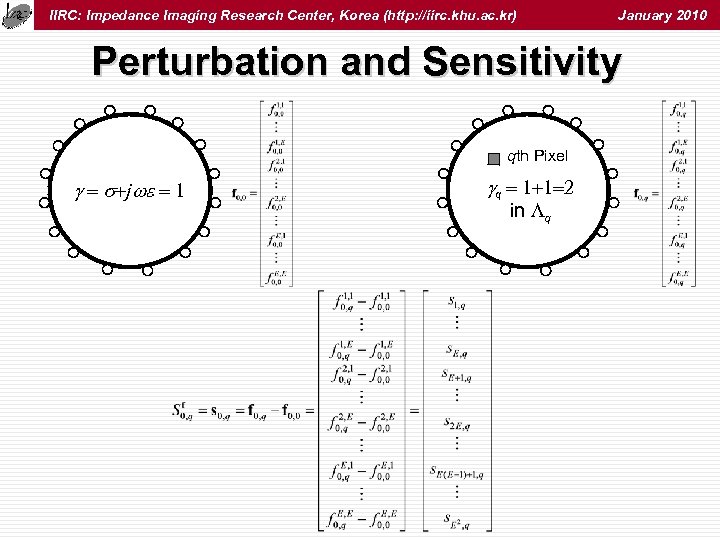 IIRC: Impedance Imaging Research Center, Korea (http: //iirc. khu. ac. kr) January 2010 Perturbation
