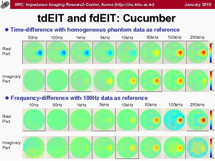 IIRC: Impedance Imaging Research Center, Korea (http: //iirc. khu. ac. kr) January 2010 td.