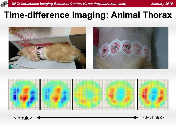 IIRC: Impedance Imaging Research Center, Korea (http: //iirc. khu. ac. kr) January 2010 Time-difference
