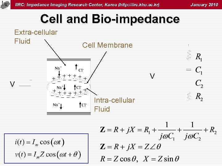 IIRC: Impedance Imaging Research Center, Korea (http: //iirc. khu. ac. kr) Cell and Bio-impedance