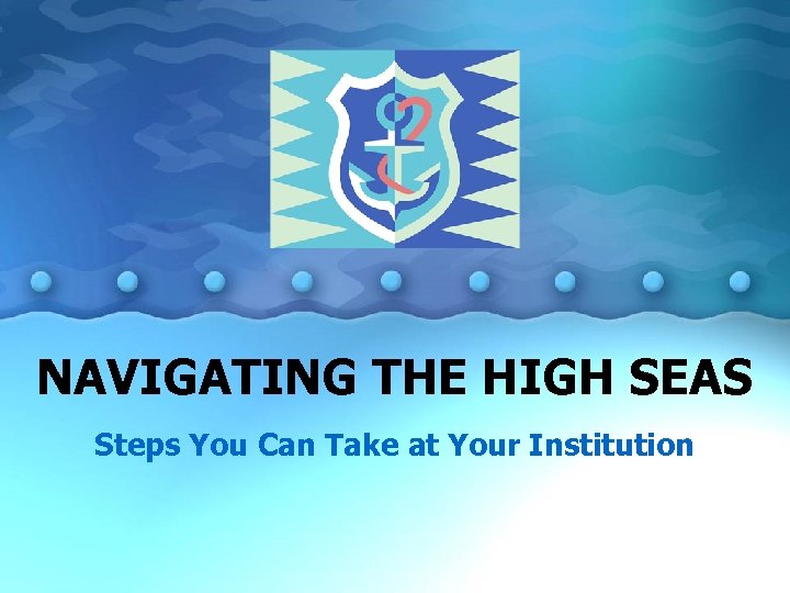 NAVIGATING THE HIGH SEAS Steps You Can Take at Your Institution 