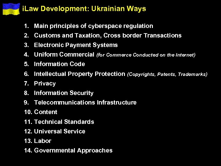 i. Law Development: Ukrainian Ways 1. Main principles of cyberspace regulation 2. Customs and