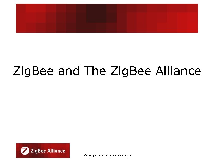 Zig. Bee and The Zig. Bee Alliance Copyright 2002 The Zig. Bee Alliance, Inc.