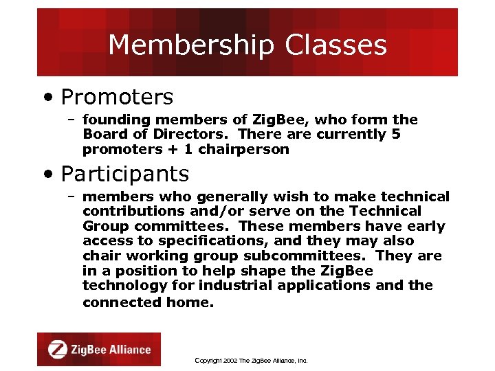 Membership Classes • Promoters – founding members of Zig. Bee, who form the Board
