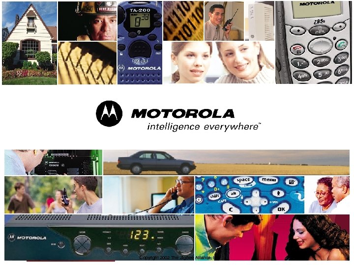 Copyright 2002 The Zig. Bee Alliance, Inc. 