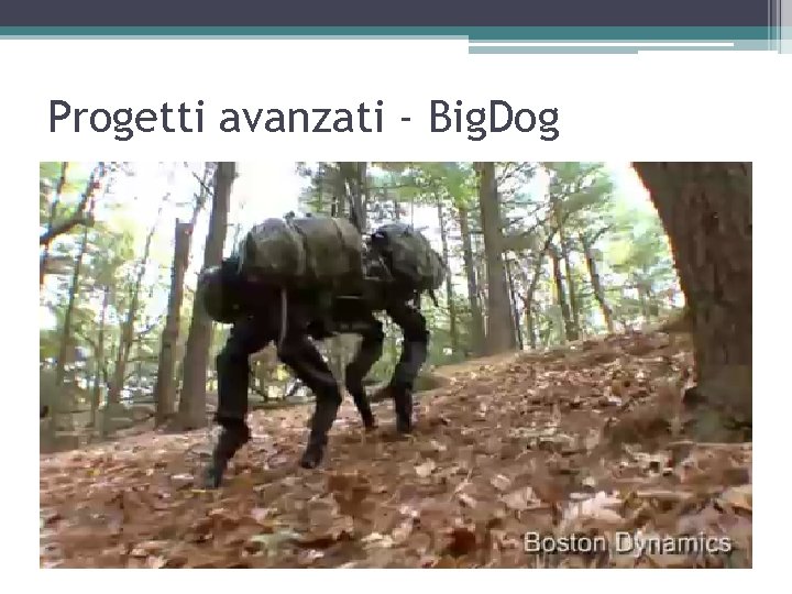 Progetti avanzati - Big. Dog 