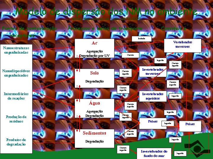 Modelo de dispersão dos NM no ambiente fonte: Metcalfe et col. Livro NATO 2009