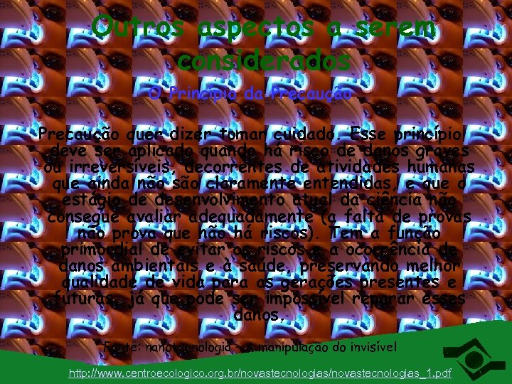 Outros aspectos a serem considerados O Princípio da Precaução quer dizer tomar cuidado. Esse