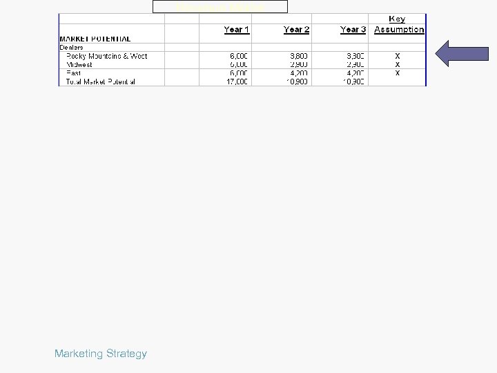 Revenue Model Marketing Strategy 