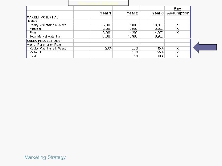 Revenue Model Marketing Strategy 