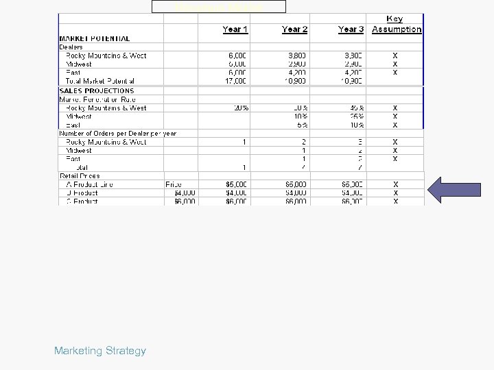 Revenue Model Marketing Strategy 