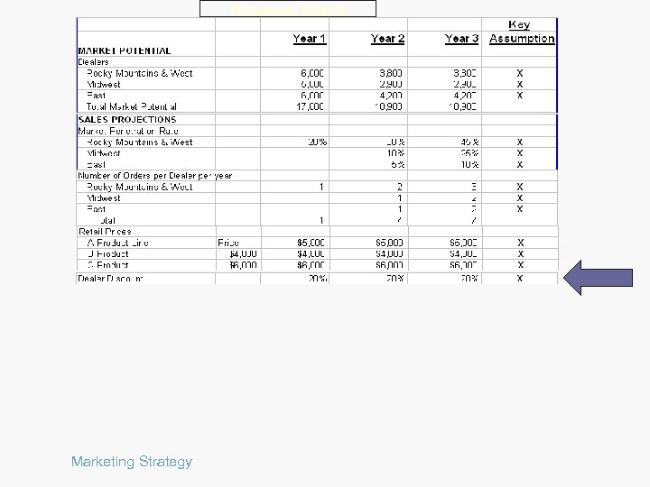 Revenue Model Marketing Strategy 