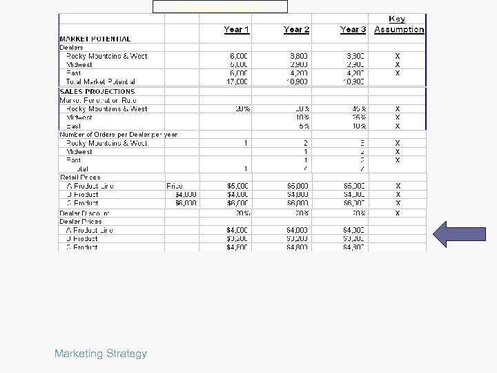 Revenue Model Marketing Strategy 