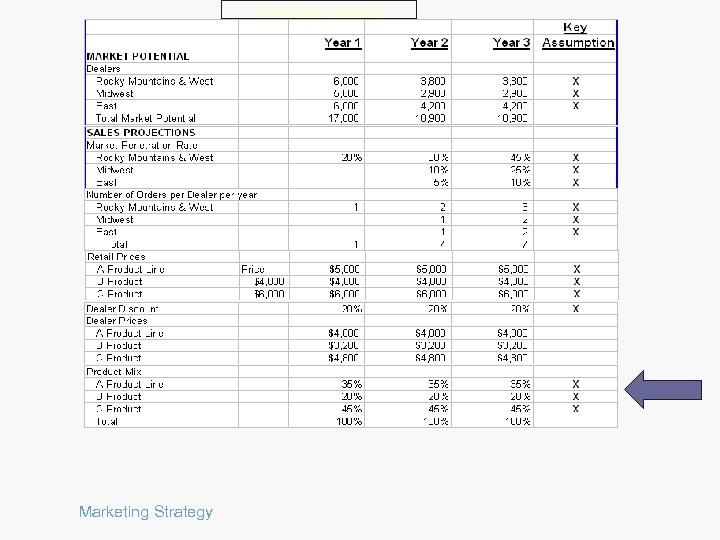 Revenue Model Marketing Strategy 