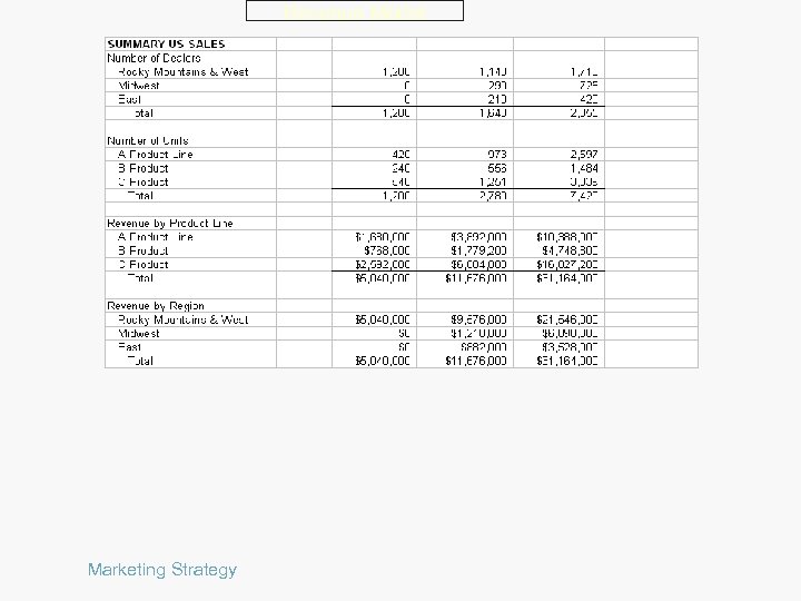 Revenue Model Marketing Strategy 