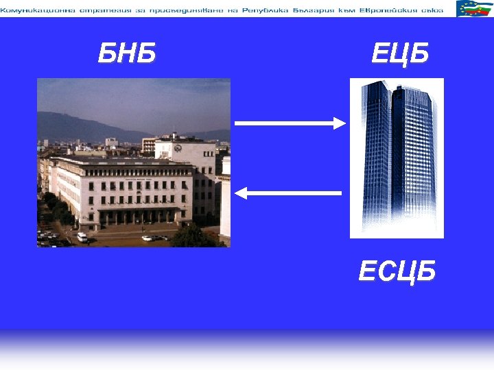 БНБ ЕЦБ ЕСЦБ 