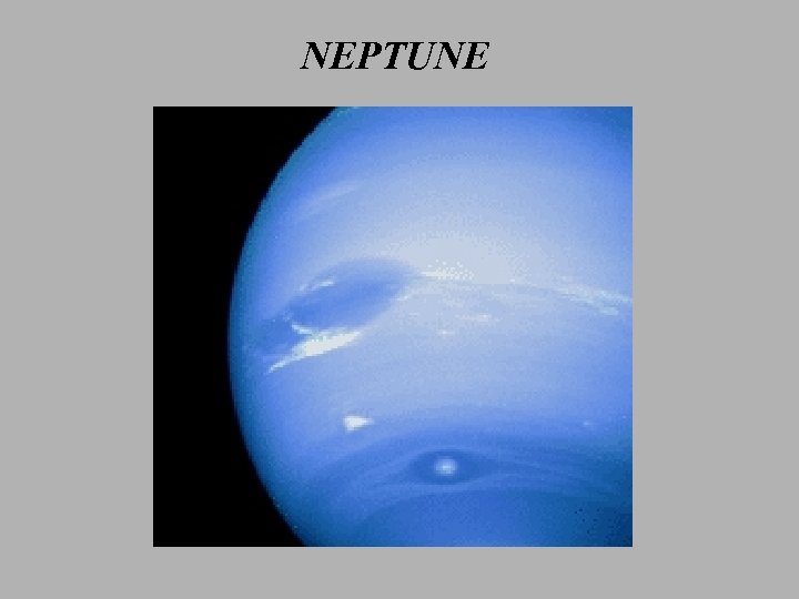 NEPTUNE 