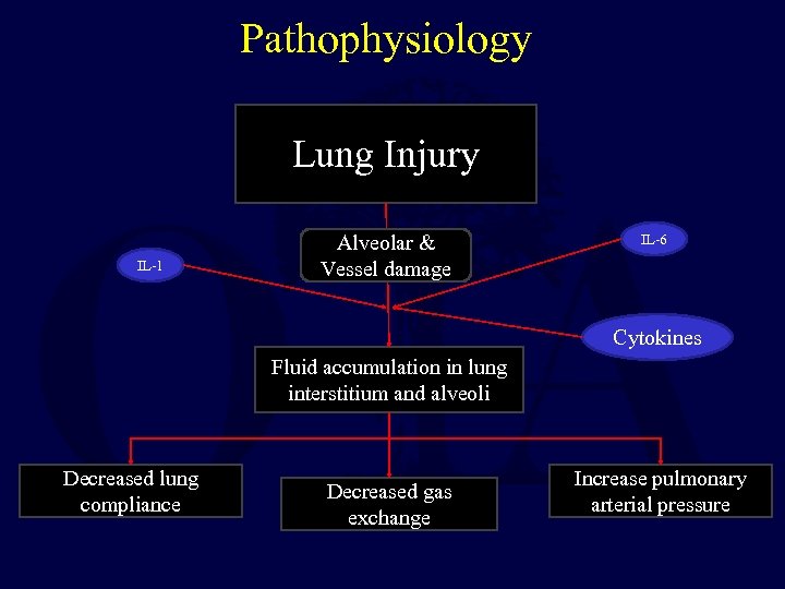 Pathophysiology Lung Injury IL-1 Alveolar & Vessel damage IL-6 Cytokines Fluid accumulation in lung