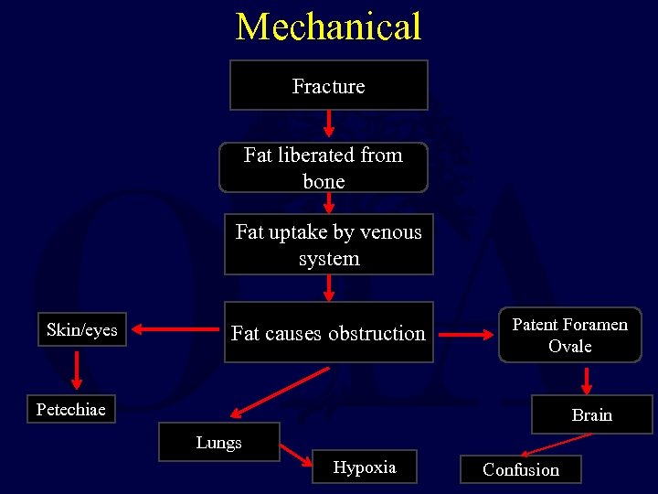 Mechanical Fracture Fat liberated from bone Fat uptake by venous system Skin/eyes Fat causes