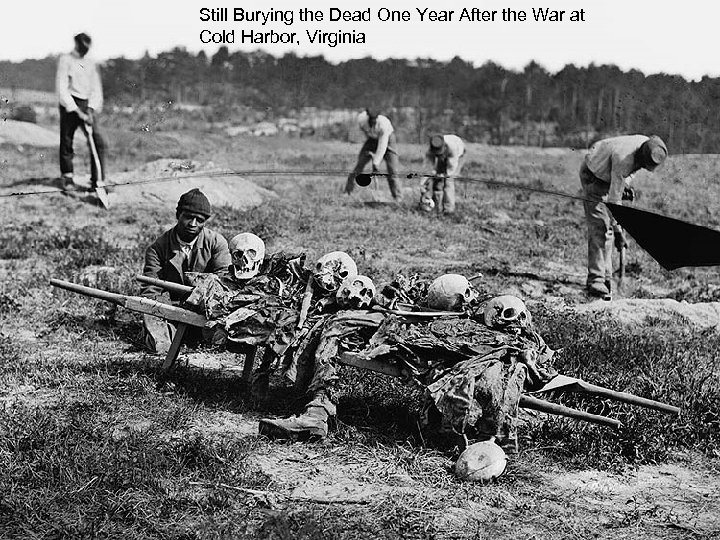 Still Burying the Dead One Year After the War at Cold Harbor, Virginia 