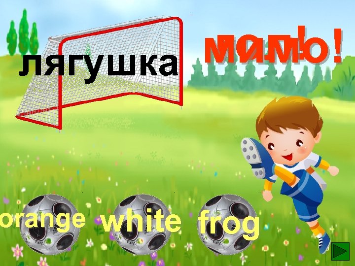 гол! мимо! лягушка orange white frog 