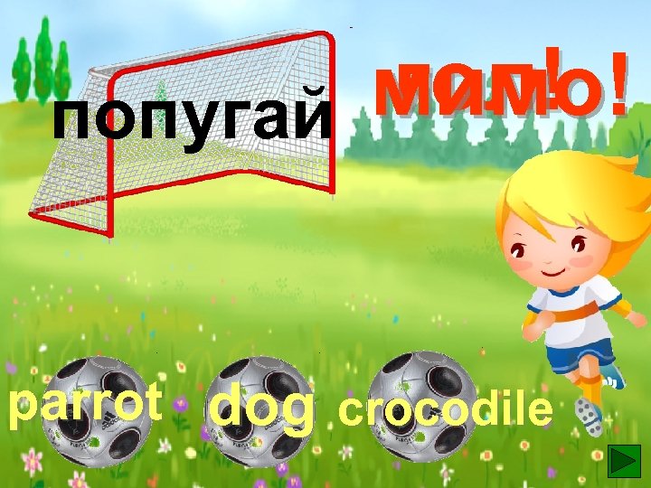 гол! мимо! попугай parrot dog crocodile 