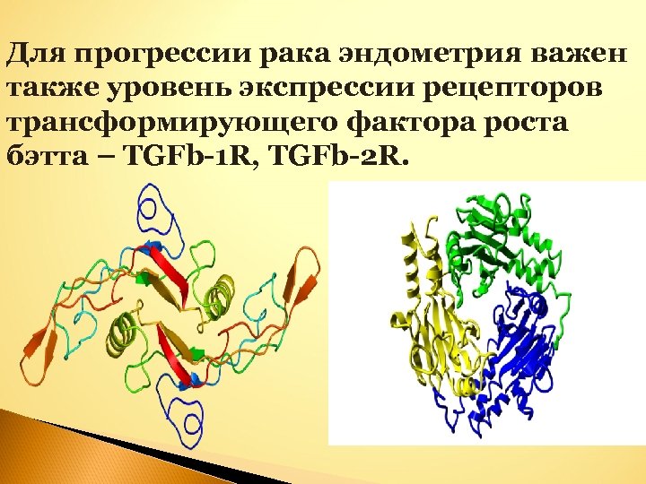 Для прогрессии рака эндометрия важен также уровень экспрессии рецепторов трансформирующего фактора роста бэтта –