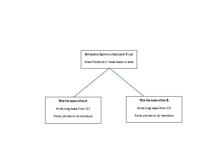 Umbrella Community Land Trust Owns freehold or head lease on land Site Co-operative A