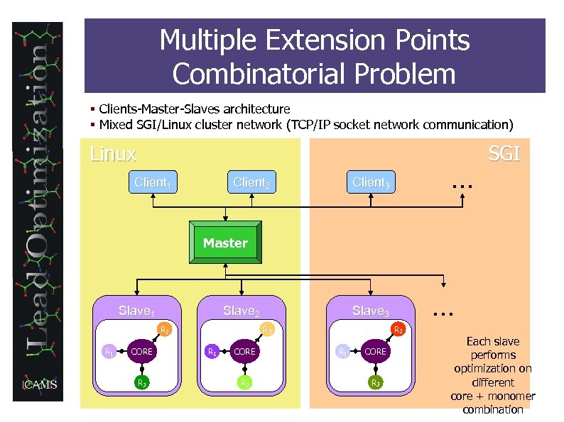 Multiple Extension Points Combinatorial Problem § Clients-Master-Slaves architecture § Mixed SGI/Linux cluster network (TCP/IP