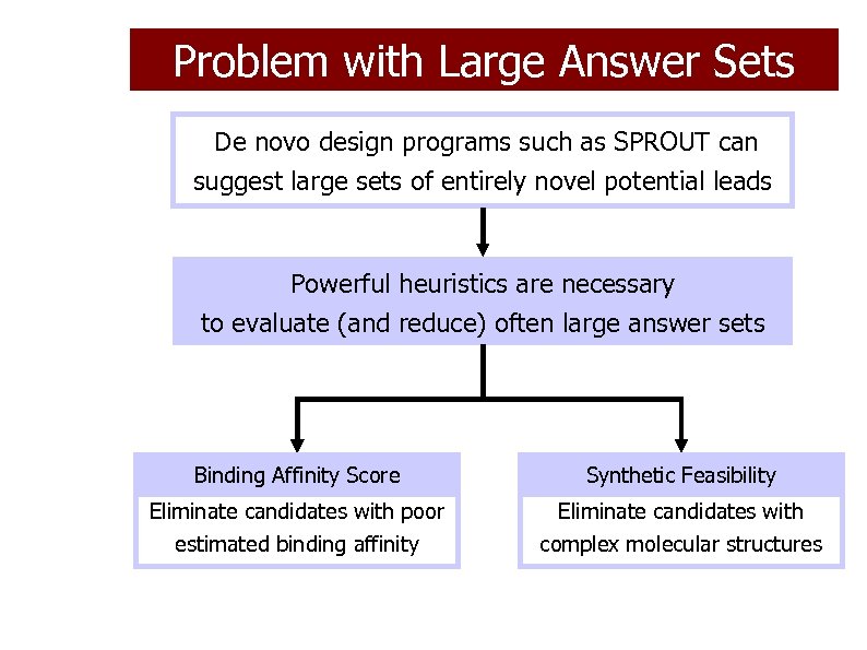 Problem with Large Answer Sets De novo design programs such as SPROUT can suggest