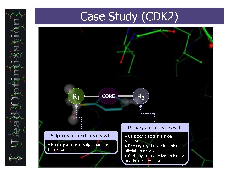Case Study (CDK 2) R 1 CORE R 2 Primary amine reacts with Sulphonyl