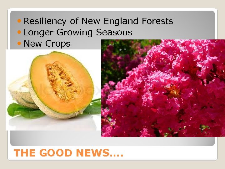  Resiliency of New England Forests Longer Growing Seasons New Crops THE GOOD NEWS….