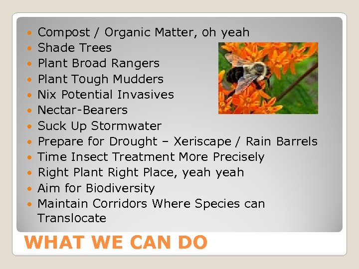  Compost / Organic Matter, oh yeah Shade Trees Plant Broad Rangers Plant Tough