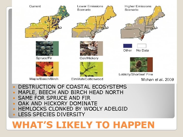 Mohan et al. 2009 DESTRUCTION OF COASTAL ECOSYSTEMS MAPLE, BEECH AND BIRCH HEAD NORTH