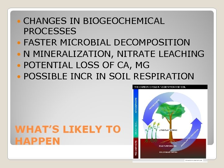 CHANGES IN BIOGEOCHEMICAL PROCESSES FASTER MICROBIAL DECOMPOSITION N MINERALIZATION, NITRATE LEACHING POTENTIAL LOSS OF