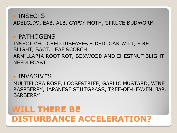  INSECTS ADELGIDS, EAB, ALB, GYPSY MOTH, SPRUCE BUDWORM PATHOGENS INSECT VECTORED DISEASES –