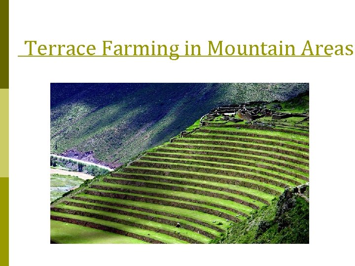 Terrace Farming in Mountain Areas 