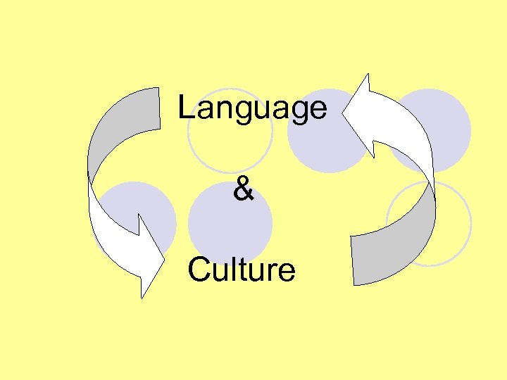  Language & Culture 