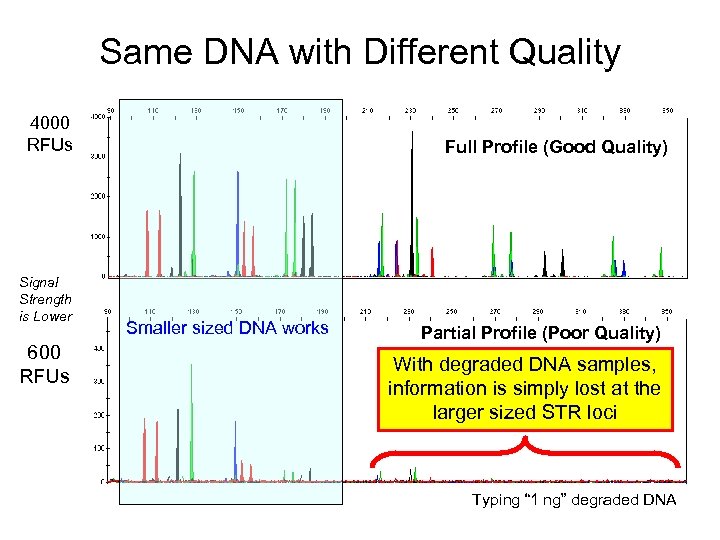 Same DNA with Different Quality 4000 RFUs Signal Strength is Lower 600 RFUs Full