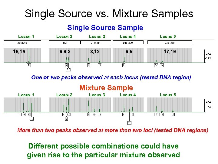 Single Source vs. Mixture Samples Single Source Sample Locus 1 16, 16 Locus 2