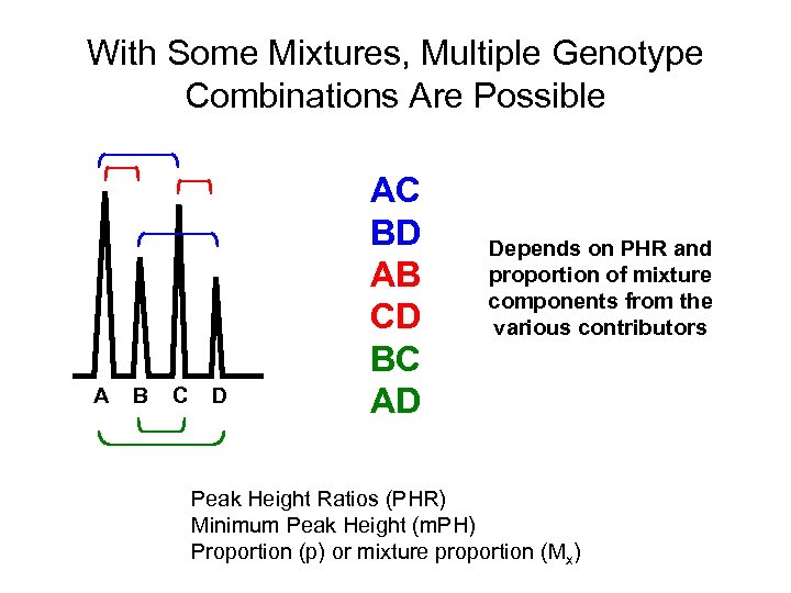 With Some Mixtures, Multiple Genotype Combinations Are Possible A B C D AC BD