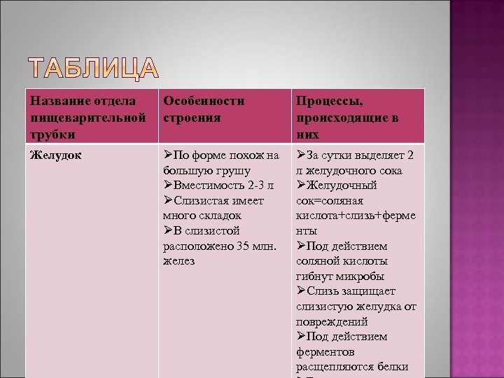 Сравнительная характеристика толстого. Желудок особенности строения и функции таблица. Желудок строение и функции таблица. Толстый кишечник отделы таблица. Таблица отдел ЖКТ строение функции.