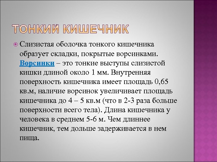  Слизистая оболочка тонкого кишечника образует складки, покрытые ворсинками. Ворсинки – это тонкие выступы