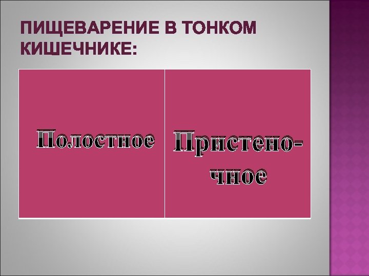 ПИЩЕВАРЕНИЕ В ТОНКОМ КИШЕЧНИКЕ: Полостное Пристено- чное 