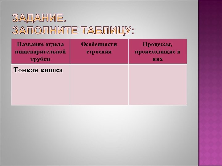 Название отдела пищеварительной трубки Тонкая кишка Особенности строения Процессы, происходящие в них 