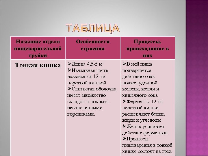 Название отдела пищеварительной трубки Особенности строения Процессы, происходящие в них Тонкая кишка ØДлина 4,